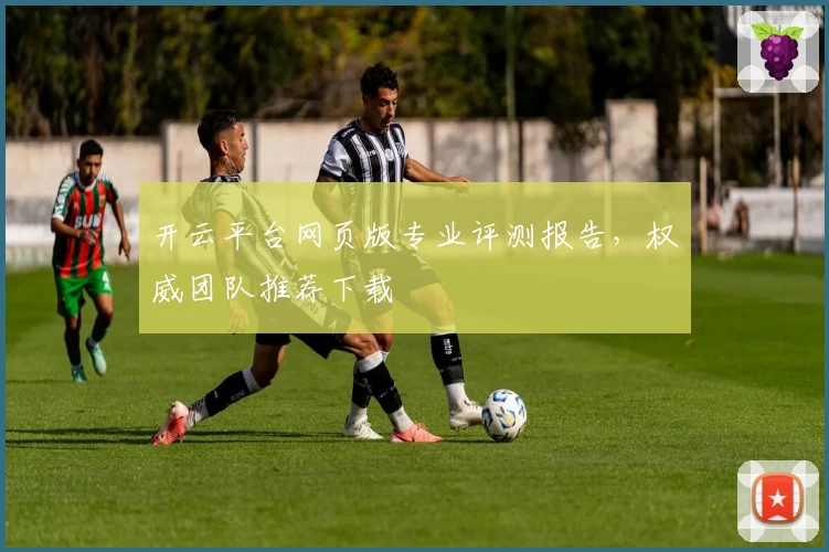 开云平台网页版专业评测报告，权威团队推荐下载