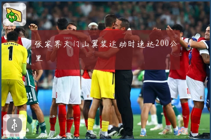 张家界天门山翼装运动时速达200公里
