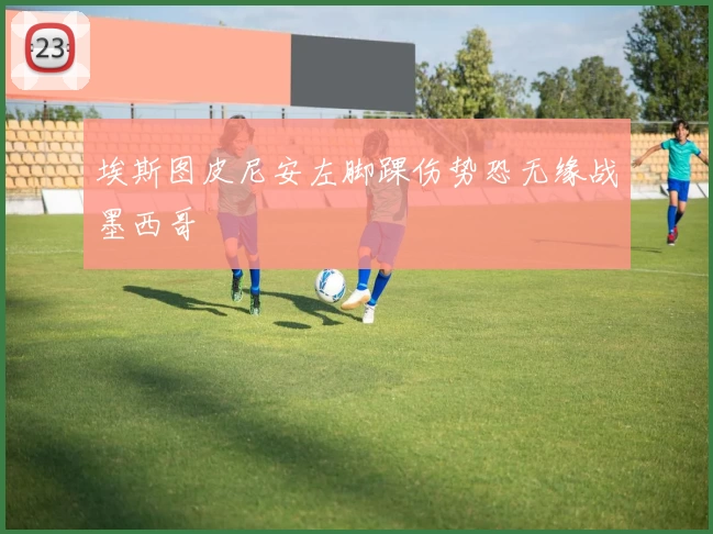 埃斯图皮尼安左脚踝伤势恐无缘战墨西哥